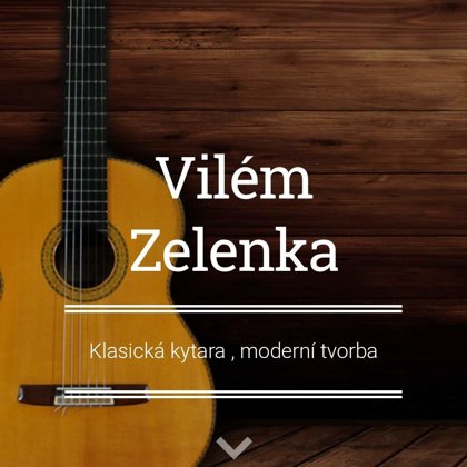 www.vilemzelenka.eu